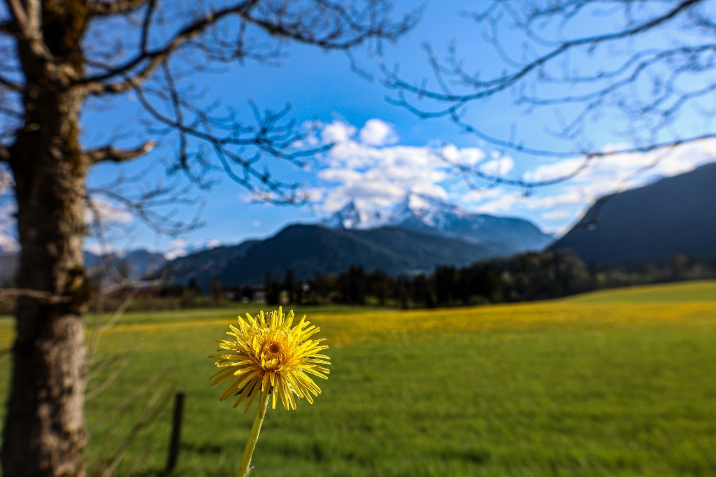 Ferienwohnung Watzmannglück
